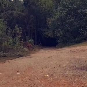 Meet your Posher, Jake